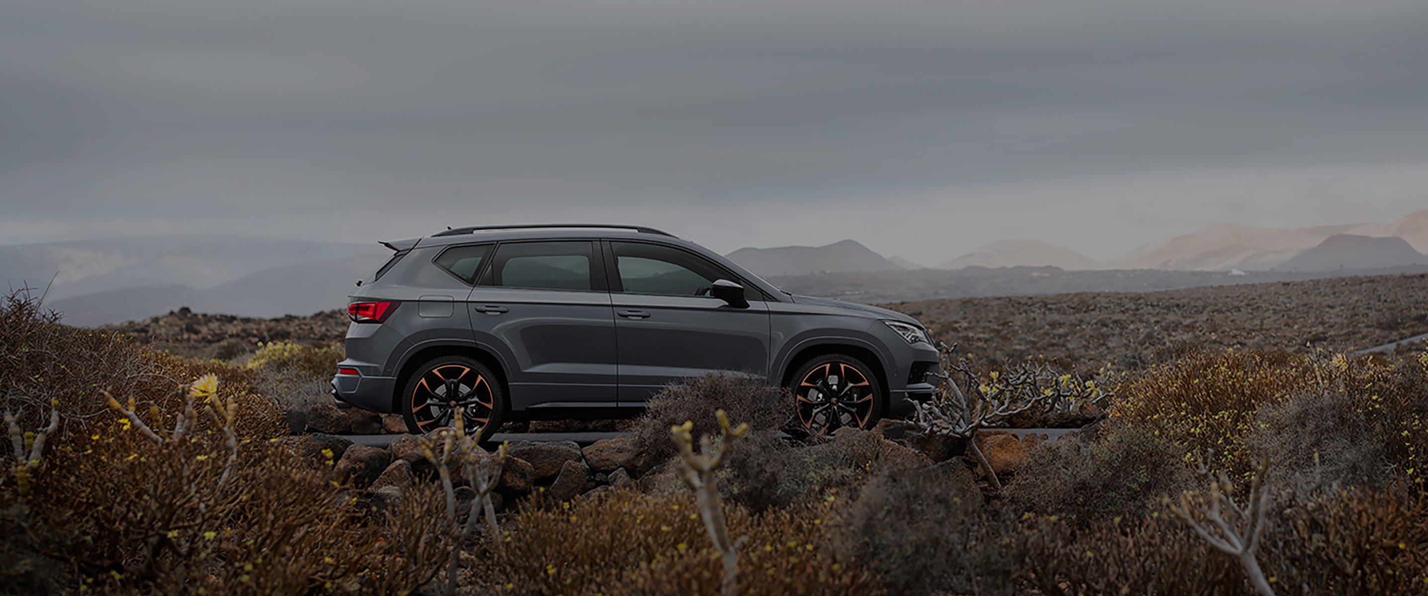 Side view of the CUPRA Ateca Limited Edition