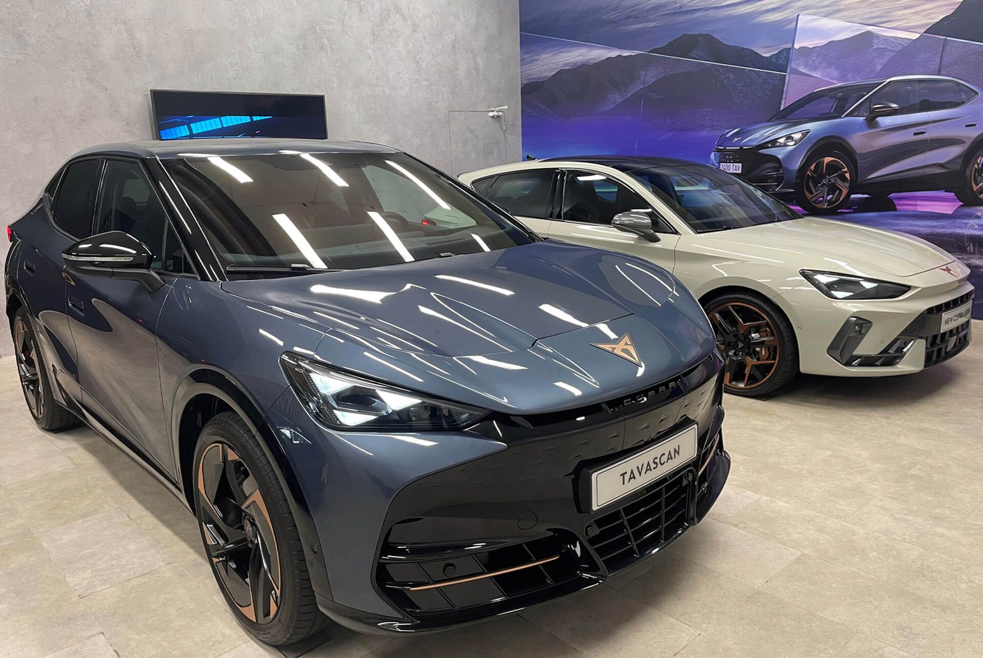 Navy blue Tavascan parked in a retailer showroom